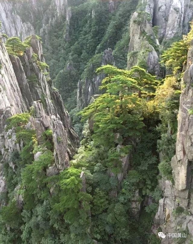 大眼蛙3